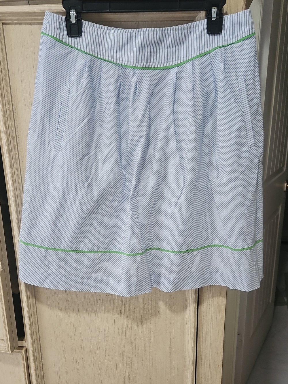 Lilly Pulitzer Blue-and-White Striped A-Line Skirt with Green Trim